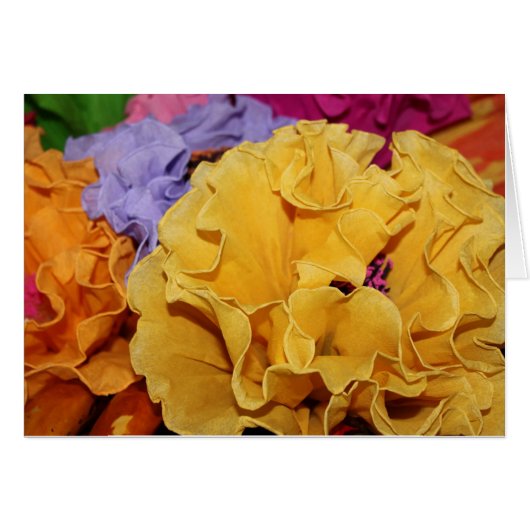 Mexicaanse Fiesta Flower (Voorkant Horizontaal)