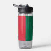 Mexicaanse fles, patriottische Mexicaanse vlag Waterfles (Rechts)