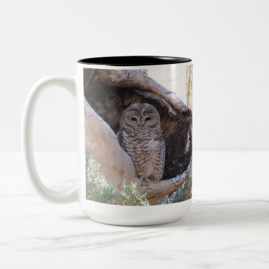 Mexicaanse Gepootte Mok, met de linkermuisknop Tweekleurige Koffiemok (Links)