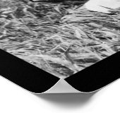 Mexicaanse gitaarspelers 1904 poster (Hoek)