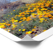 Mexicaanse Golden Poppies - Franklin Mountains Poster (Hoek)