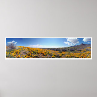 Mexicaanse Golden Poppies - Franklin Mountains Poster