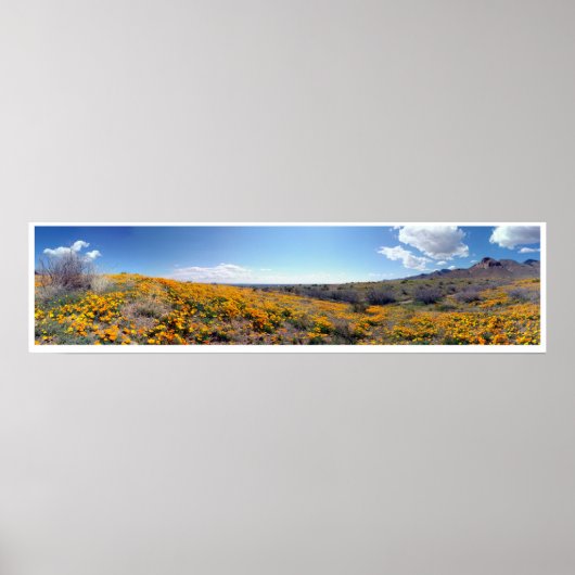 Mexicaanse Golden Poppies - Franklin Mountains Poster (Voorkant)