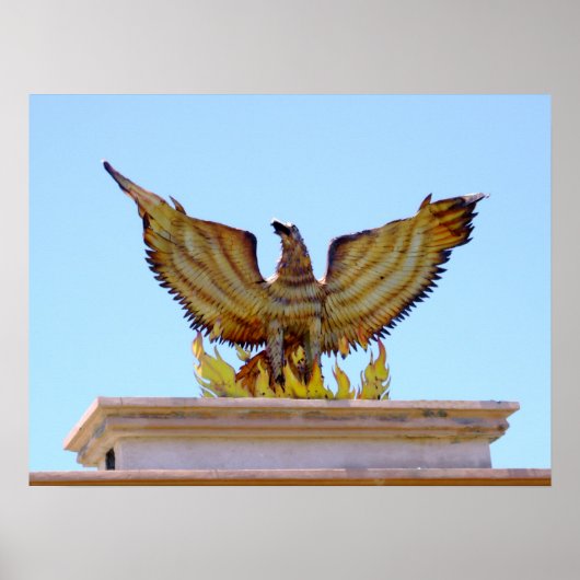 Mexicaanse gouden adelaar poster (Voorkant)