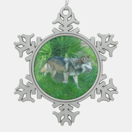 Mexicaanse grijze wolf #1 Snowflake Ornament (Voorkant)