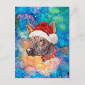 Mexicaanse hairless Breed Dog Kerstmis Feestdagenkaart (Voorkant)
