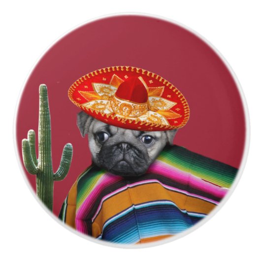 Mexicaanse hond keramische knop (Voorkant)