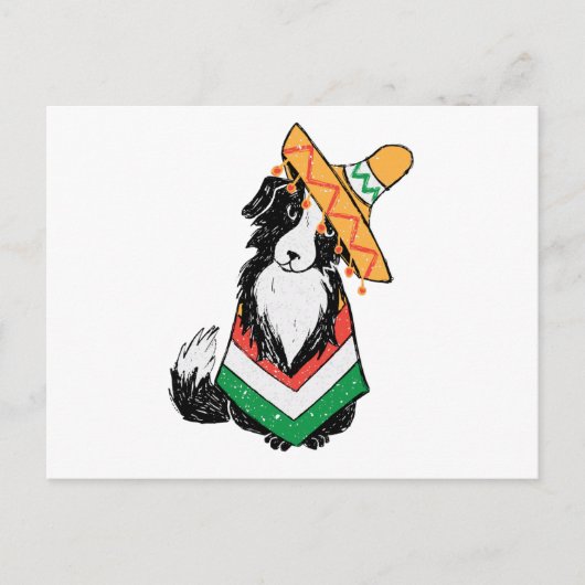 Mexicaanse hond Sombrero en Poncho Cinco de Mayo Briefkaart (Voorkant)