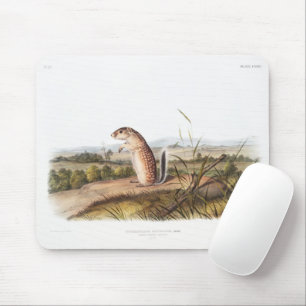 Mexicaanse marmot Squirrel Camping Deco Gifts Muismat