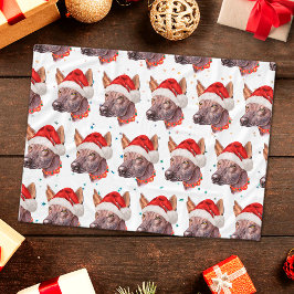 Mexicaanse Naakthond Ras Kerststerren Fleece Deken