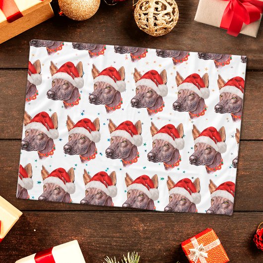 Mexicaanse Naakthond Ras Kerststerren Fleece Deken