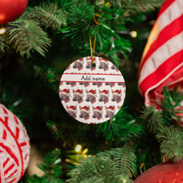 Mexicaanse Naakthond Ras Kerststerren Keramisch Ornament
