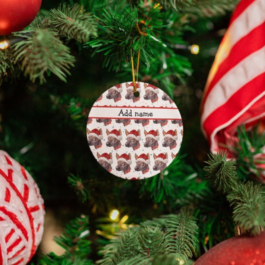 Mexicaanse Naakthond Ras Kerststerren Keramisch Ornament