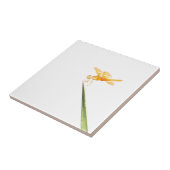 Mexicaanse oranjebruine librie tegeltje (Zijkant)