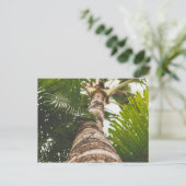Mexicaanse palmboom van onder briefkaart (Staand voorkant)