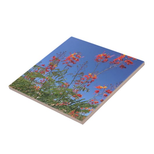 Mexicaanse paradijsvogel tegeltje (Zijkant)