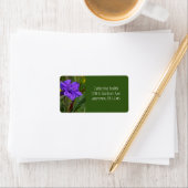 Mexicaanse Petunia Bloem / Blauw Violet & Groen / Etiket (Insitu)