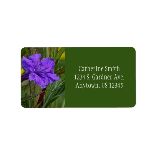 Mexicaanse Petunia Bloem / Blauw Violet & Groen / Etiket (Voorkant)