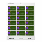 Mexicaanse Petunia Bloem / Blauw Violet & Groen / Etiket (Full Sheet)
