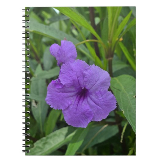 Mexicaanse petunia notitieboek (Voorkant)