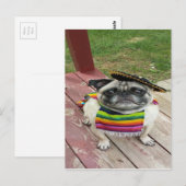 Mexicaanse Pug Briefkaart (Voorkant / Achterkant)