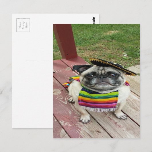 Mexicaanse Pug Briefkaart (Voorkant / Achterkant)