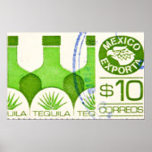 Mexicaanse reisposter Tequila Cactus Poster (Voorkant)