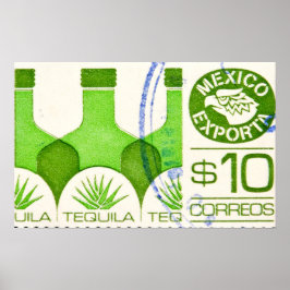 Mexicaanse reisposter Tequila Cactus Poster