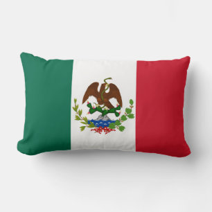 Mexicaanse Republiek Vlag: 1824-1835, Santa Anna Kussen