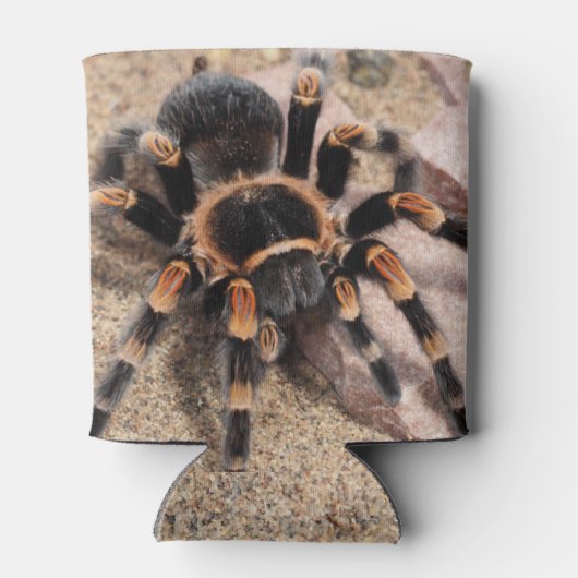 Mexicaanse rode knie Tarantula Blikjeskoeler (Achterkant)