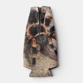 Mexicaanse rode knie Tarantula Flesjeskoeler (Achterkant)