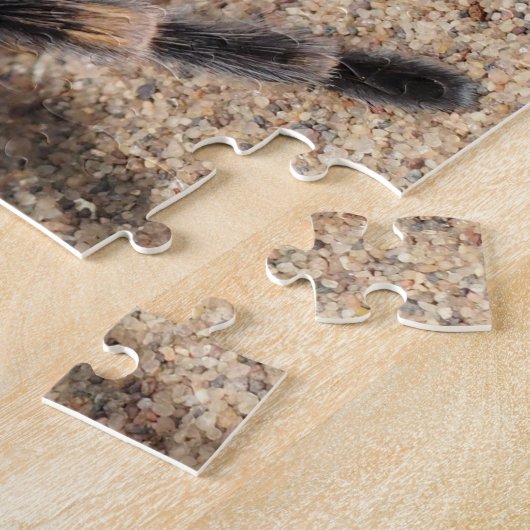 Mexicaanse rode knie Tarantula Spider Legpuzzel (Zijkant)