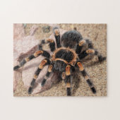 Mexicaanse rode knie Tarantula Spider Legpuzzel (Horizontaal)