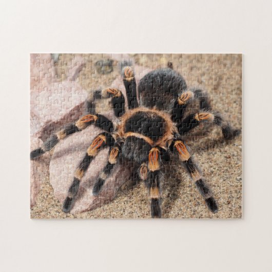 Mexicaanse rode knie Tarantula Spider Legpuzzel (Horizontaal)