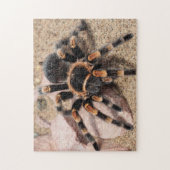 Mexicaanse rode knie Tarantula Spider Legpuzzel (Verticaal)