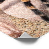 Mexicaanse rode knie Tarantula Spider Poster (Hoek)