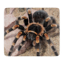Mexicaanse rode knie Tarantula Spider Snijplank