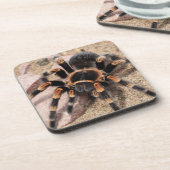 Mexicaanse rode knie Tarantula spin Bier Onderzetter (Linkerzijde)