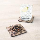 Mexicaanse rode knie Tarantula spin Bier Onderzetter (Rechterzijde)