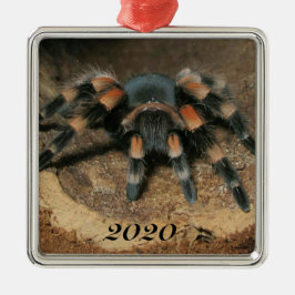 Mexicaanse rode knie Tarantula spin Metalen Ornament