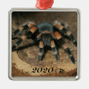 Mexicaanse rode knie Tarantula spin Metalen Ornament