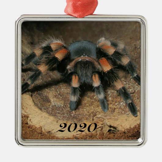 Mexicaanse rode knie Tarantula spin Metalen Ornament (Voorkant)