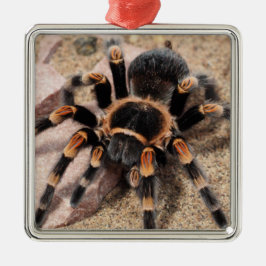 Mexicaanse rode knie Tarantula spin Metalen Ornament