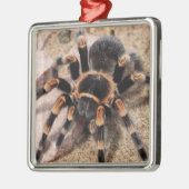 Mexicaanse rode knie Tarantula spin Metalen Ornament (Links)