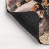 Mexicaanse rode knie Tarantula spin Muismat (Hoek)