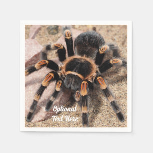 Mexicaanse rode knie Tarantula spin Servet