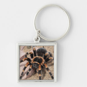 Mexicaanse rode knie Tarantula spin Sleutelhanger