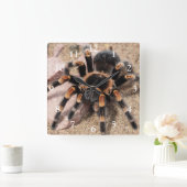 Mexicaanse rode knie Tarantula spin Vierkante Klok (Huis)