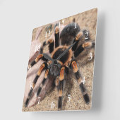 Mexicaanse rode knie Tarantula spin Vierkante Klok (Hoek)