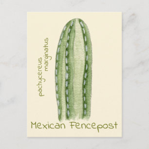 Mexicaanse schuttingpaal cactus ansichtkaart briefkaart